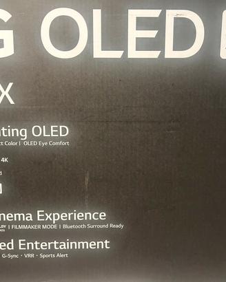 OLED LG 55