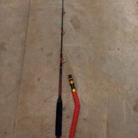 Canna normic castom miami 30 lb