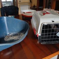 trasportino e lettiera omaggio per gatti/conigli