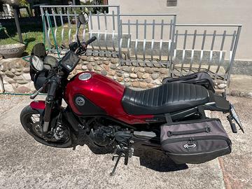 Benelli leoncino 500 trail