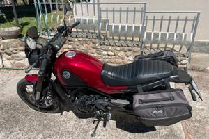 Benelli leoncino 500 trail