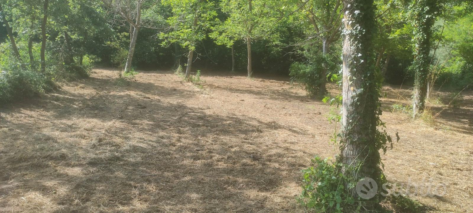 Terreno agricolo pianeggiante - Vista 3