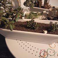 3 VASI IN PLASTICA BIANCA 60x16hx20