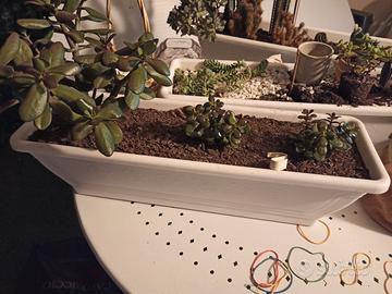 3 VASI IN PLASTICA BIANCA 60x16hx20