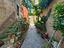 Immagine 19
