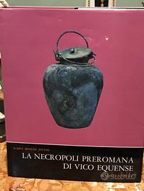 La necropoli preromana di Vico Equense