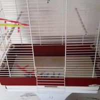 Gabbietta per volatili