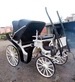 Carrozza cavallo