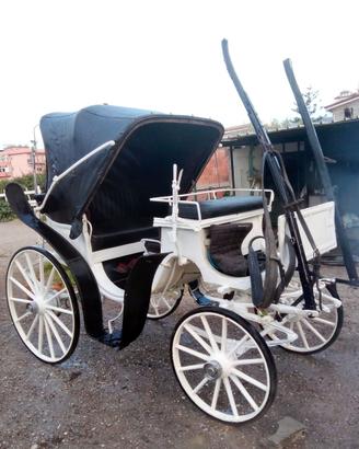 Carrozza cavallo