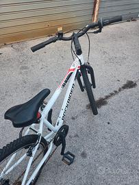 bici mountainbike 24 