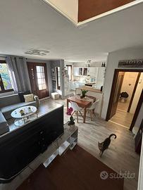 Visnadello abbinata 2camere 2servizi e giardino