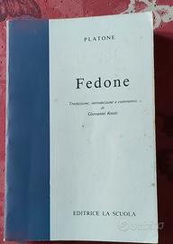 Fedone 