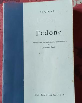 Fedone 
