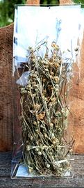 Erba alpina essiccata (genepy) – uso artistico