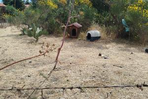 Terreno Zona Residenziale