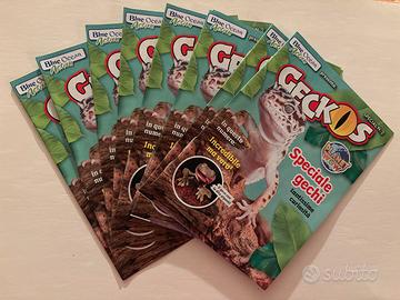 Mini magazines Blue Ocean Action