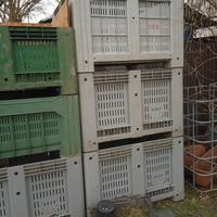 Cassa pellets frutta