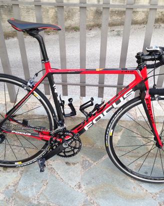 Focus Cayo carbonio - Ultegra - Taglia M 54