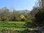 Immagine 12