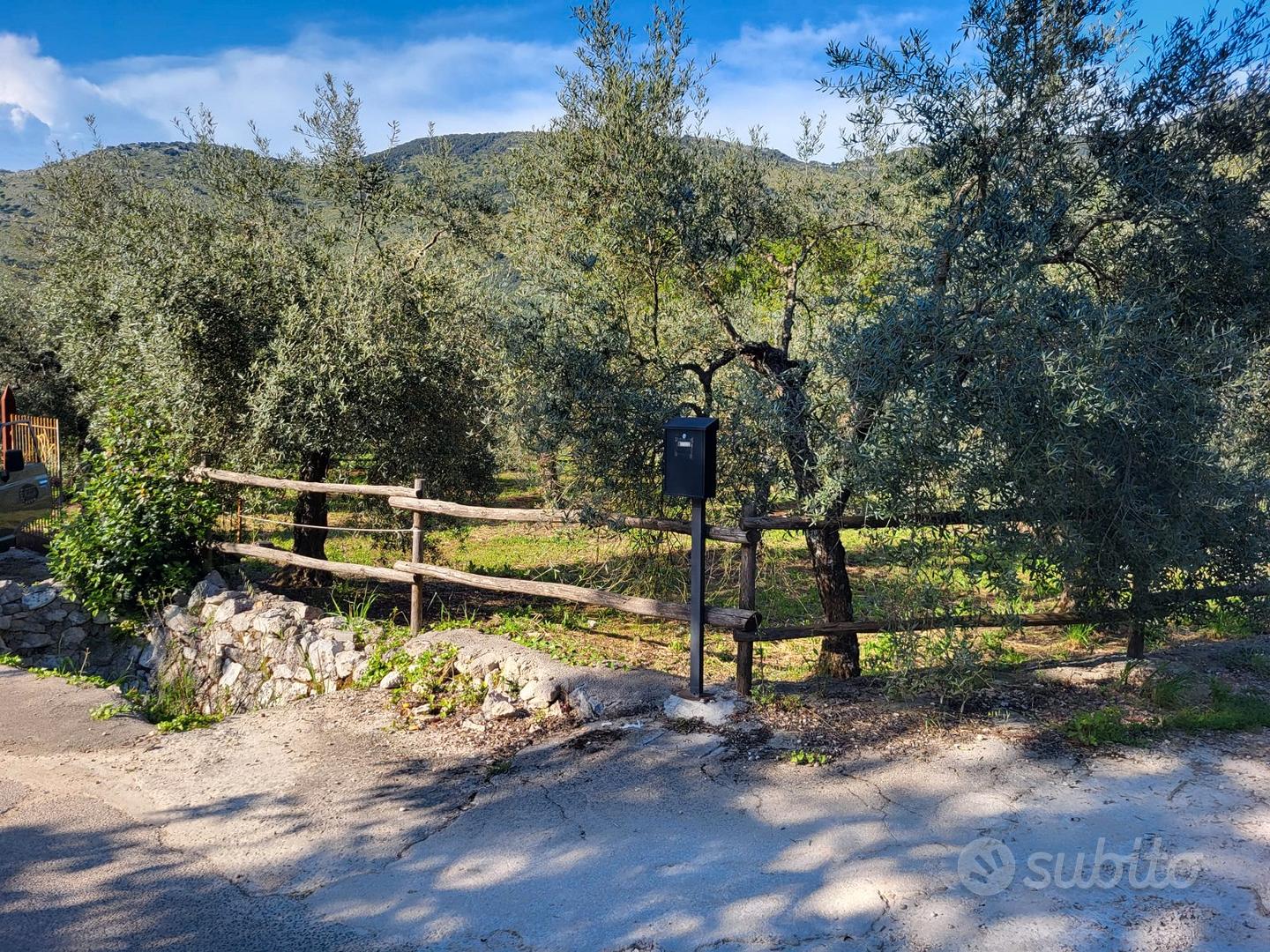 Terreno di 3300 mq con uliveto secolare - Sonnino - Vista 4