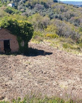 Terreno con rustico vista mare