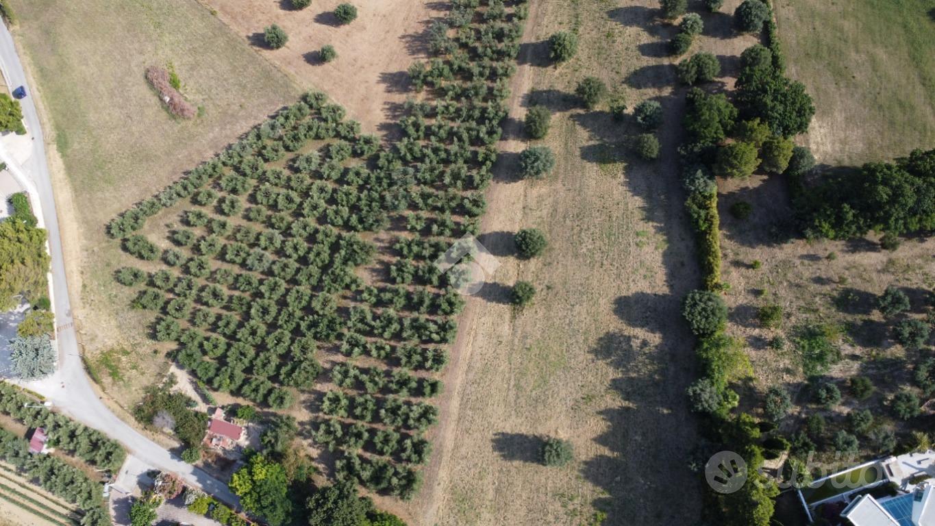 TER. AGRICOLO A TORTORETO - Vista 3