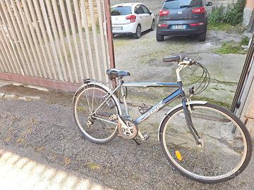 Bicicletta