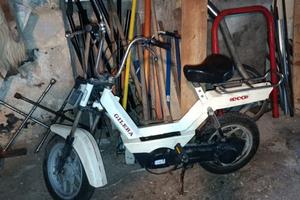 Gilera eco