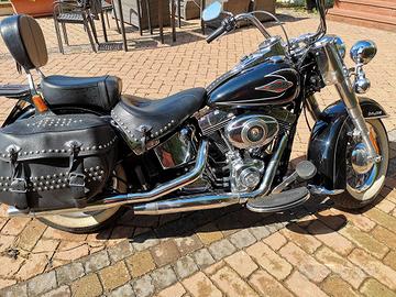 HAREY SOFTAIL HERITAGE