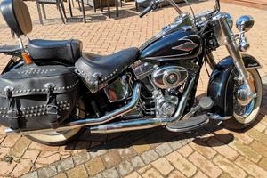 HAREY SOFTAIL HERITAGE