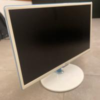 Piccolo televisore (monitor computer)