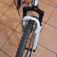 Mtb Rollmar 