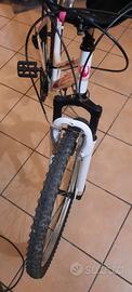 Mtb Rollmar 