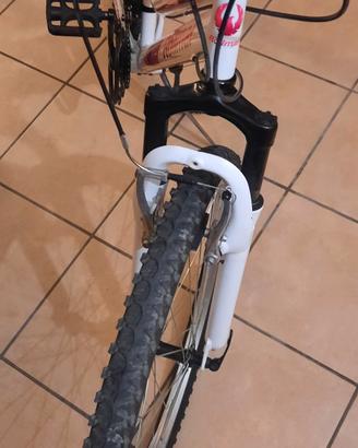 Mtb Rollmar 