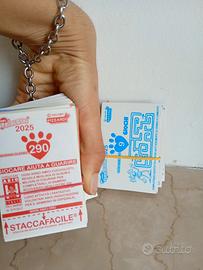 Figurine CUCCIOLOTTI 2025