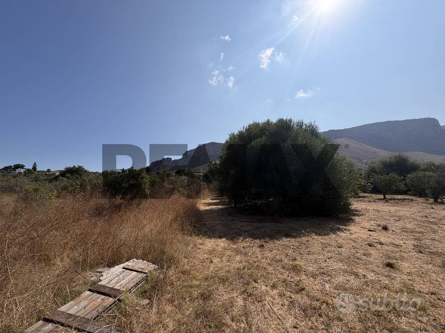 Terreno - Terrasini - Altro