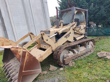 FL12C Parla cingolata