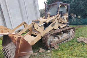 FL12C Parla cingolata