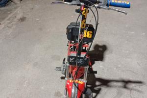 Mini moto sport 