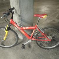BICI  24" bicicletta mtb