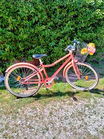 Bicicletta trekking riverside