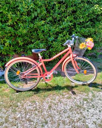 Bicicletta trekking riverside