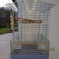 Gabbia pappagalli 