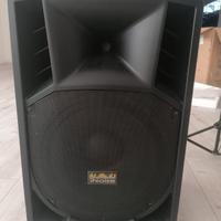 casse amplificate 600+600 WT