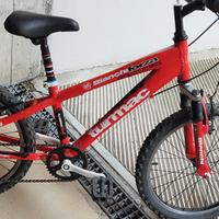 Mountain bike marca Bianchi ruota 20
