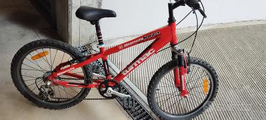 Mountain bike marca Bianchi ruota 20
