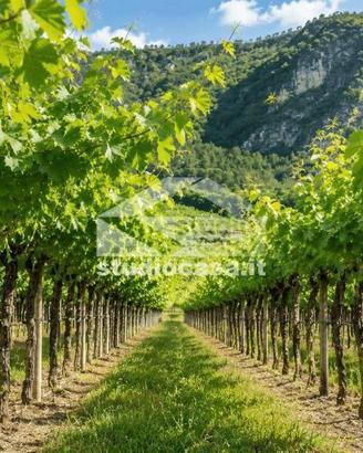 Terreno di 13552 m² a Volano
