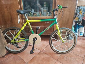 bici ruota 20