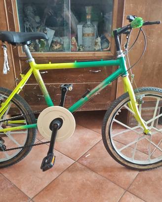 bici ruota 20