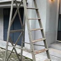 Scala in legno 10 scalini 